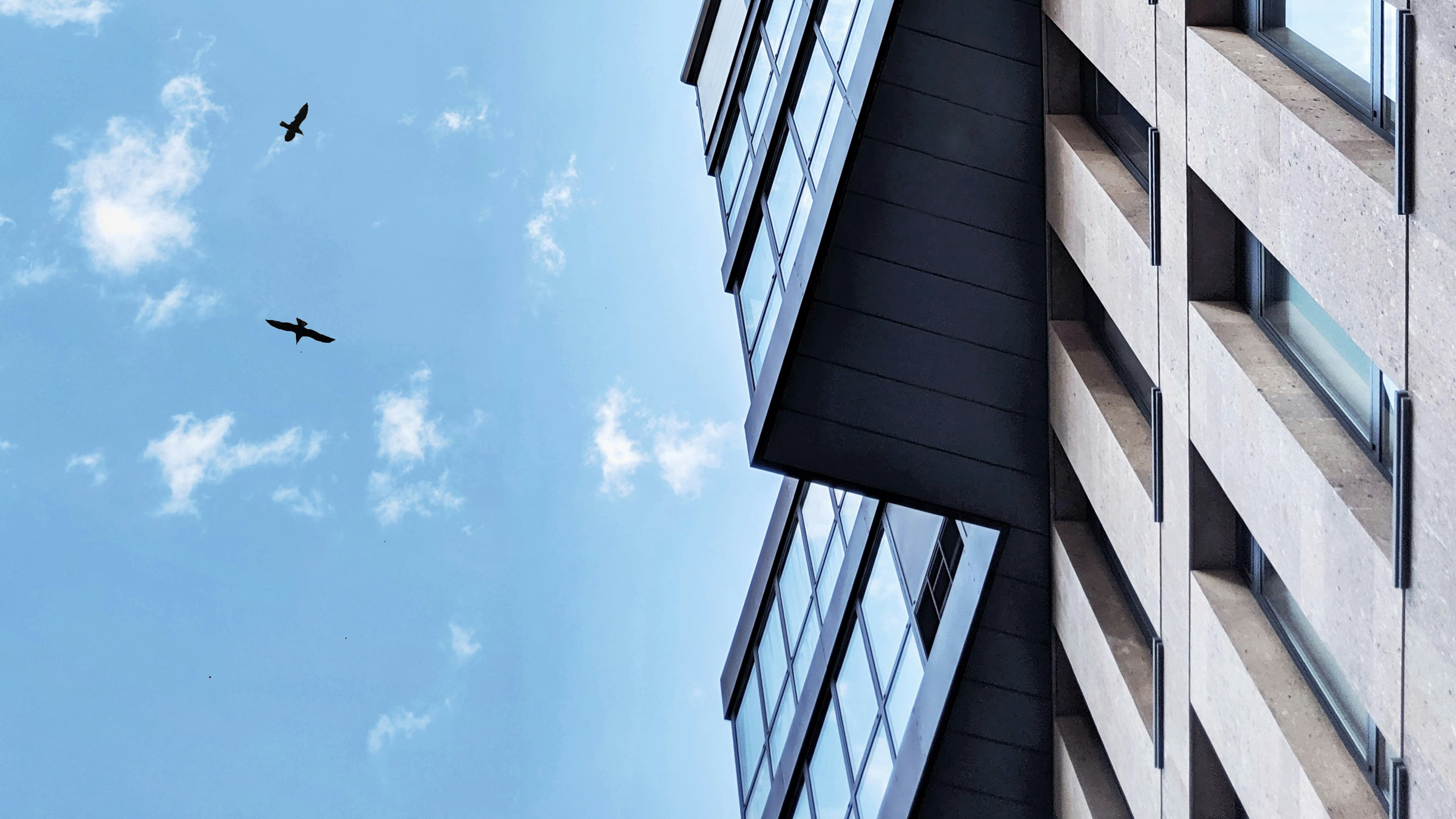 Contemporary residential development shown as a complete architectural visualization